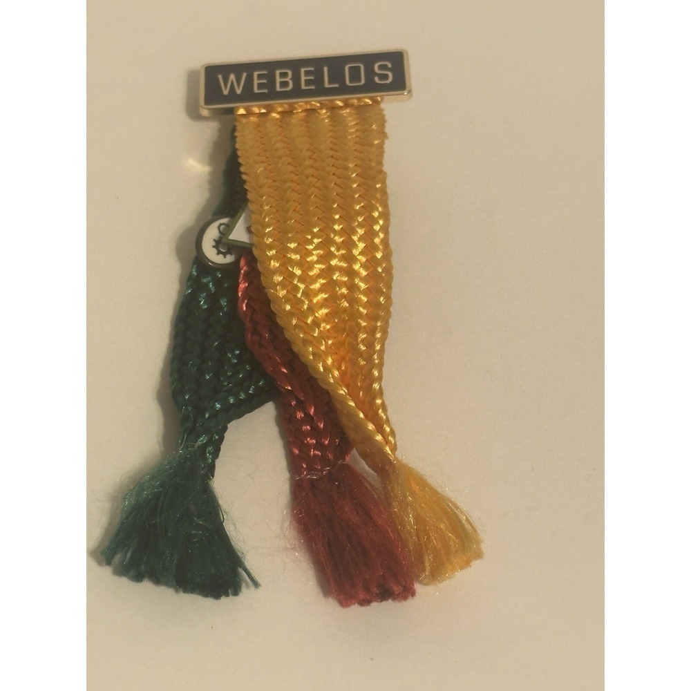 Boy Scouts Of America Webelos Pin Collection